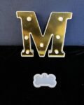 DOG BONE MOLD