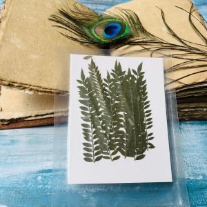 Long Leaves