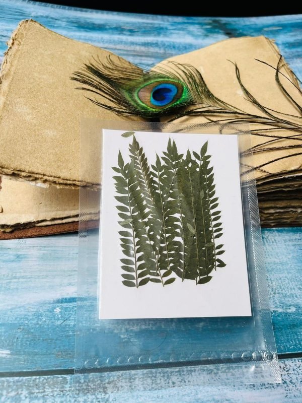Long Leaves