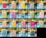 DAISY COMBO (19 packs)