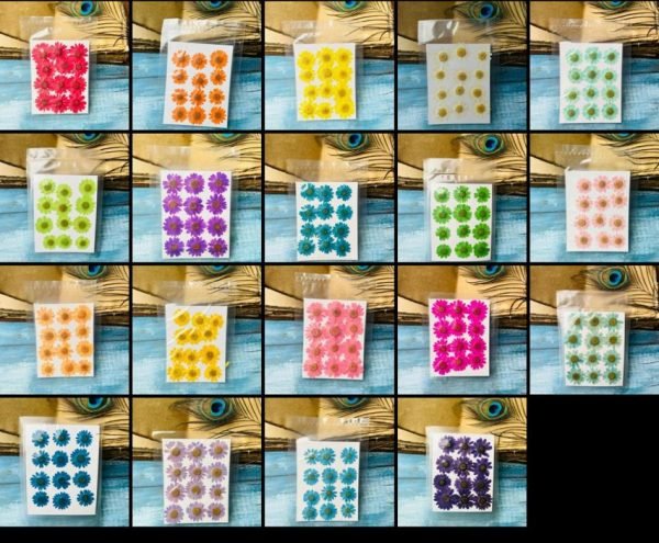 DAISY COMBO (19 packs)