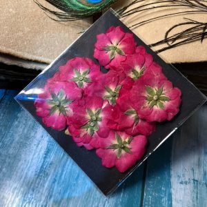 Pressed Red Roses(12Pieces)