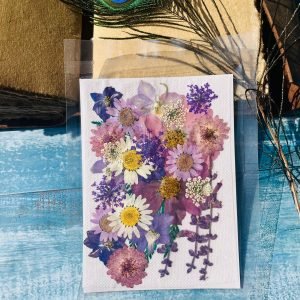 Mixed Packs 6