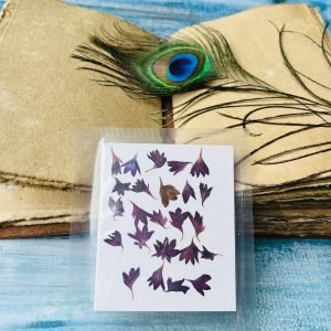Dark Purple Cornflower Pressed dried flowers for resin - 24pcs