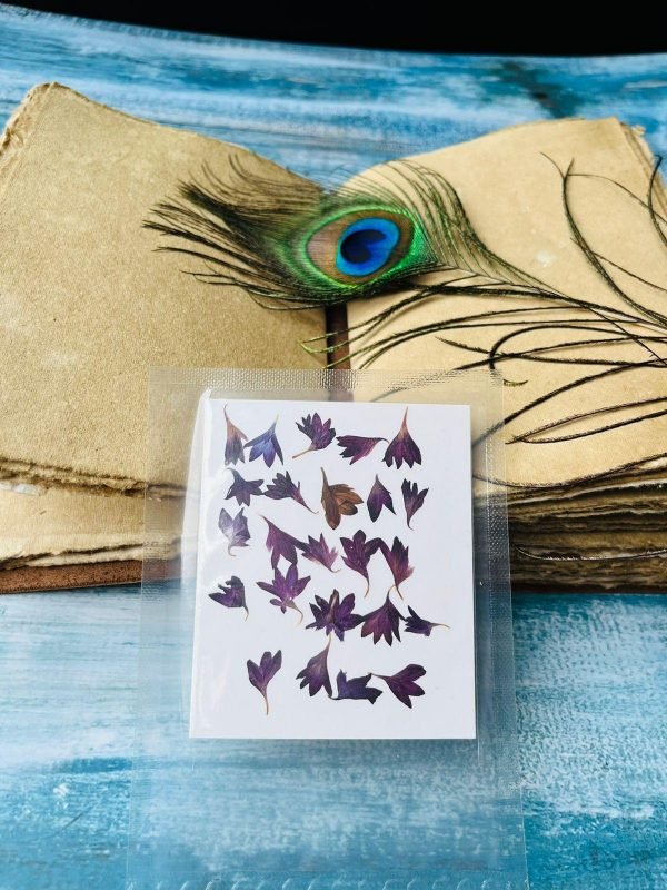 Dark Purple Cornflower Pressed dried flowers for resin - 24pcs