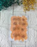 ORANGE BIG dried flowers for resin