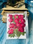 Red Roses with Strings
