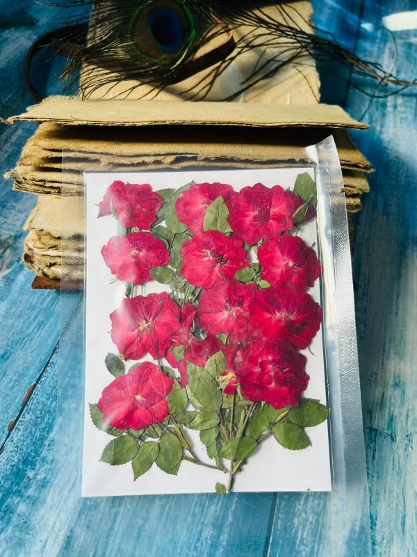 Red Roses with Strings