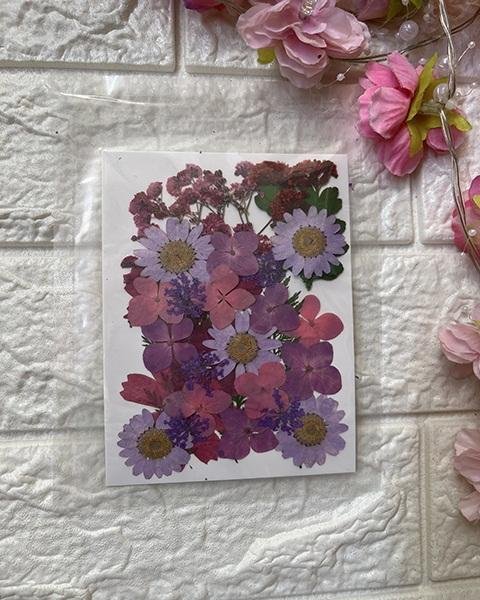 PURPLE MIX