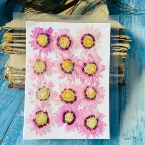 Baby Pink Chrysanthemum dried flowers for resin
