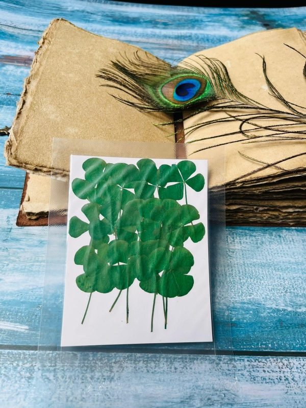 FOUR CLOVER LEAVES