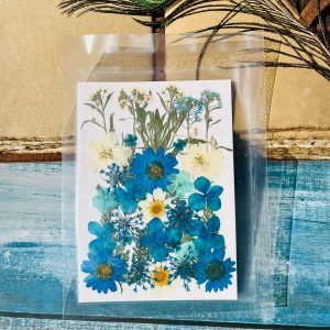 Mixed Packs 15