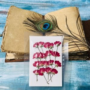 RED ROSE BUDS
