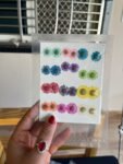 MIXED ASTERS (24 pieces)