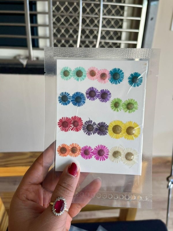 MIXED ASTERS (24 pieces)
