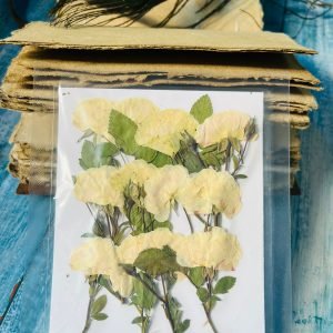 White Roses With Strings