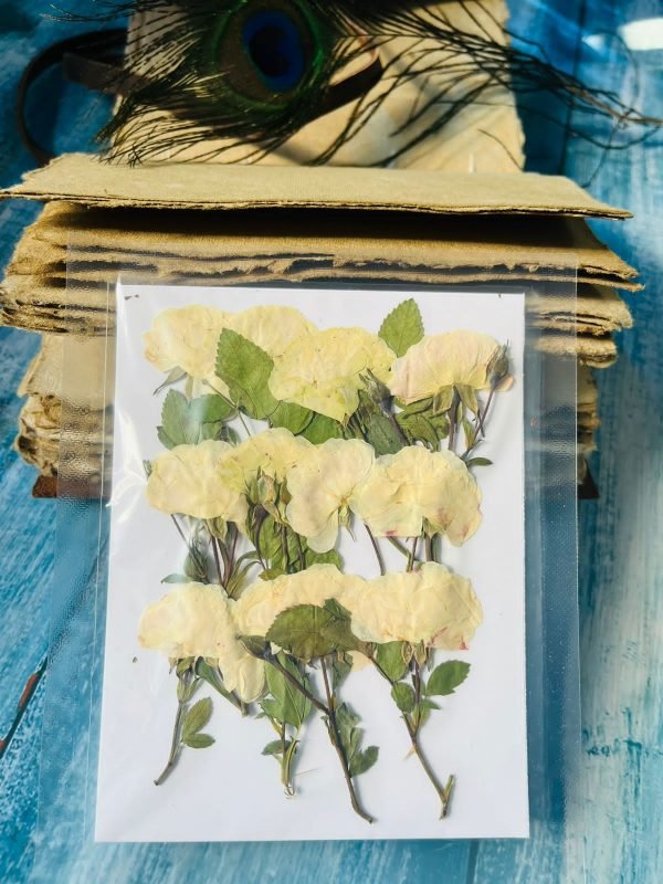 White Roses With Strings