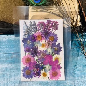 Mixed Packs 8