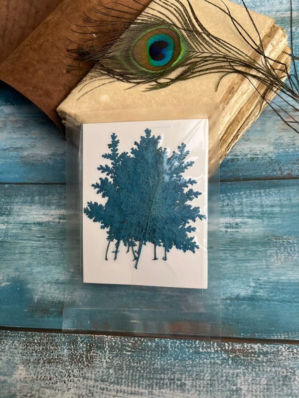 TREE LEAVES
