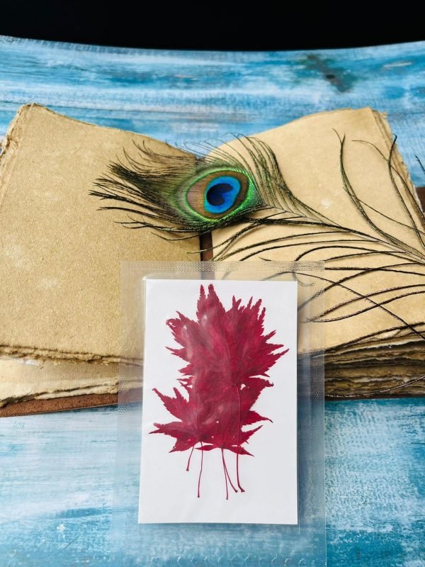 MAPLE LEAVES