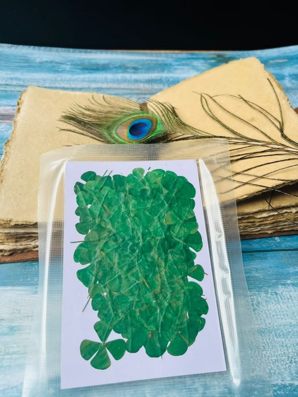 100 pieces Clover Leaves