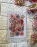 BLUSH PINK