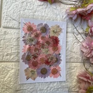 BLUSH PINK