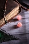 Cherry Earings 2
