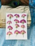 12 Pieces Pink dried flowers for resin