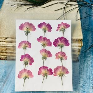 12 Pieces Pink dried flowers for resin