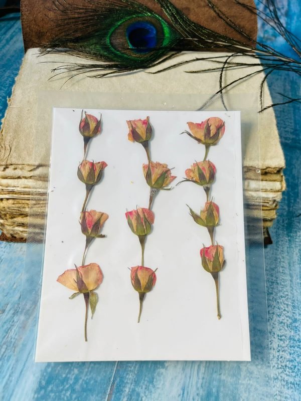 12 Pieces Pressed Natural baby Pink Rose dried flowers for resin