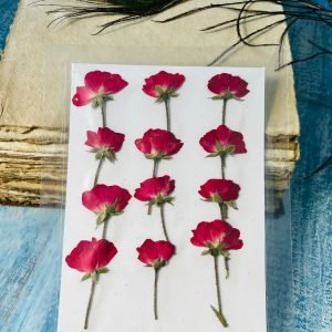 12 Pieces Red Roses