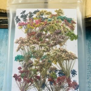 Mixed Anne Laces Bunch(20 pieces bunch)