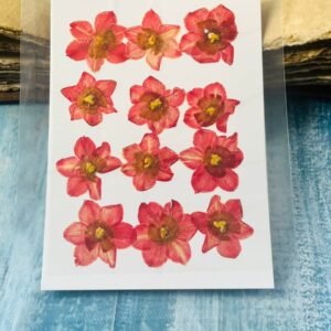 Daffodils dried flowers for resin