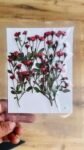Tiny Small Rose Buds