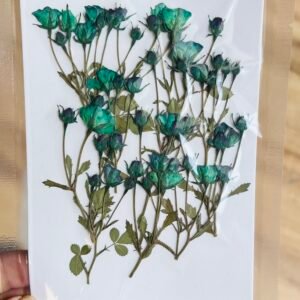 Small Rose Buds