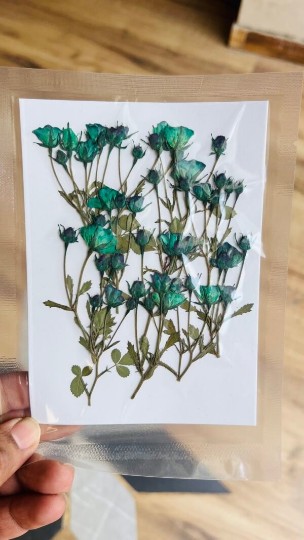 Small Rose Buds