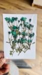 Small Rose Buds