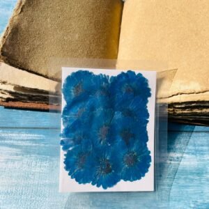 Big Blue Flower