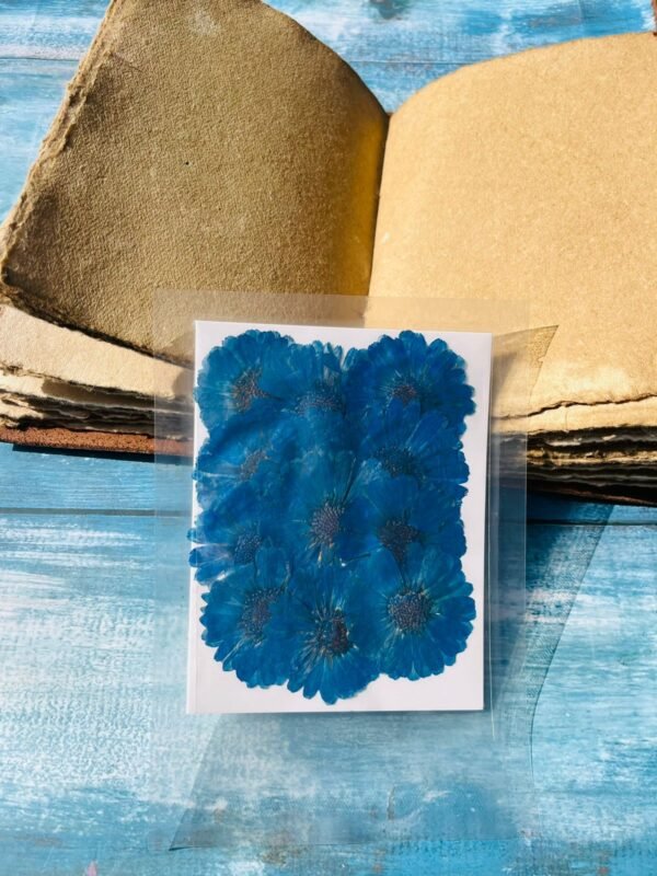 Big Blue Flower