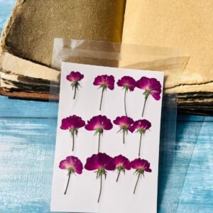 12 Pieces Dark Pink Flower