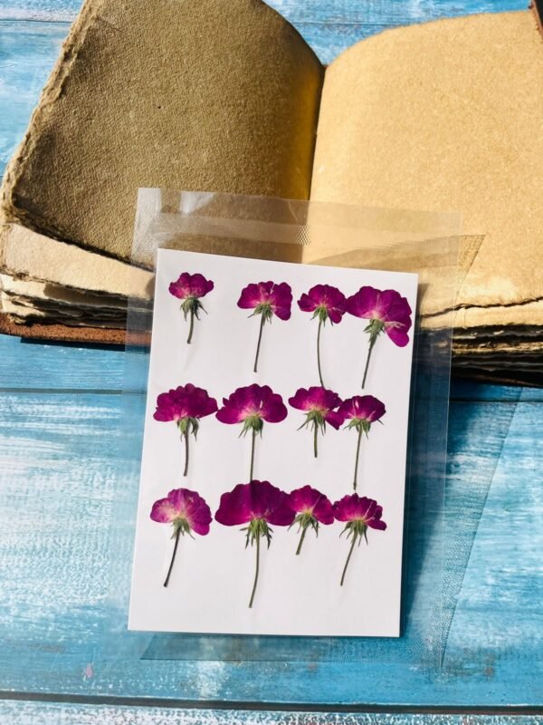 12 Pieces Dark Pink Flower