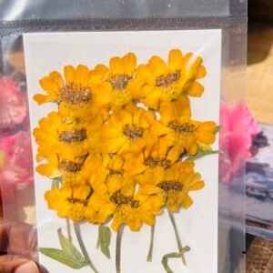 Yellow Sunflowers with stems(12 pieces)