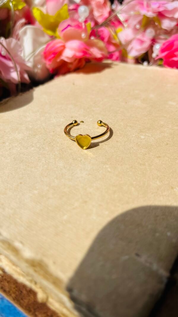 Ring Bezal 74 (Stainless Steel)