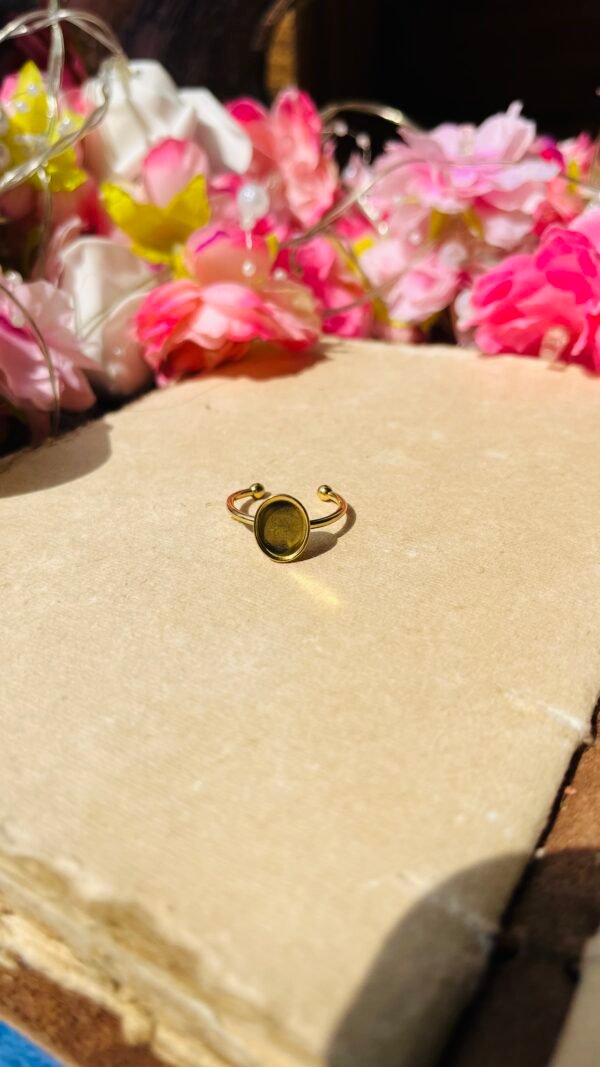 Ring Bezal 70 (Stainless Steel)