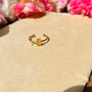 Ring Bezal 75 (Stainless Steel)