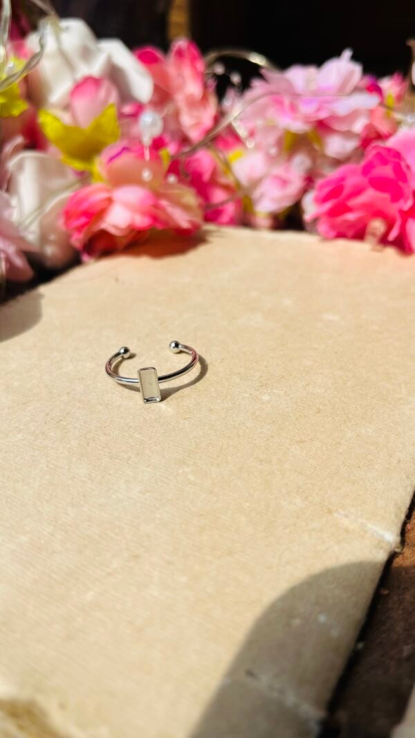 Ring Bezal 71 (Stainless Steel)