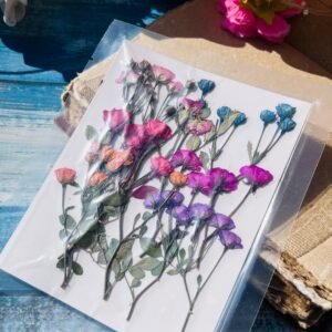 Mixed Rose Buds