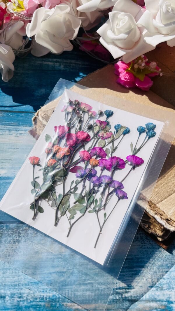 Mixed Rose Buds