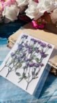 Purple Rose buds